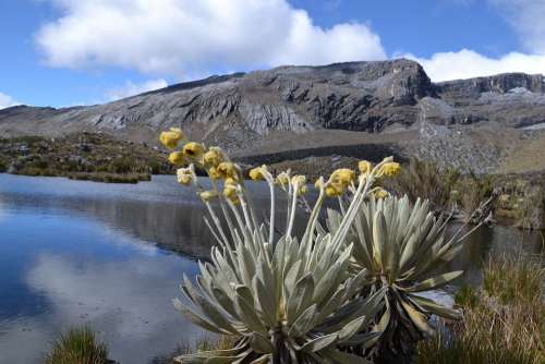 Colombia National Park Elcocuy Trekking Hiking
