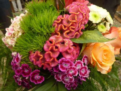 Colorful Floral Arrangement Bouquet Cloves