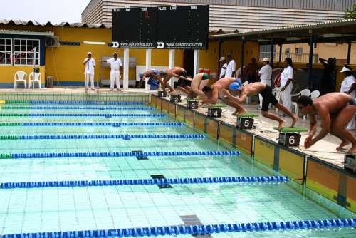 Competition Swimming Water Swimmer Athletes Pool