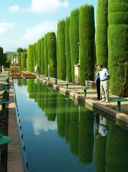 Cordoba Pond Water Vegetation Trees Gardens