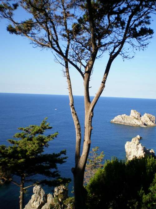 Corfu Sea Coast Vacations