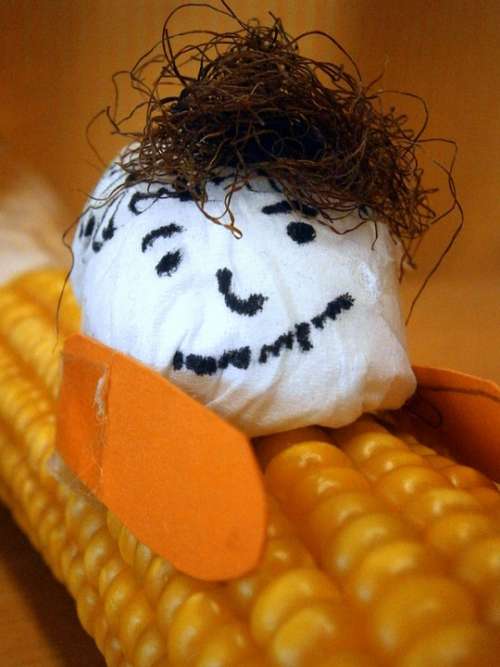 Corn Corn On The Cob Tinker Males Head Face