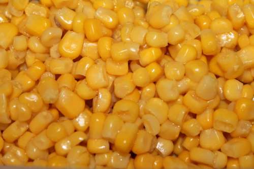 Corn Background Food Corn Kernels Cook Eat