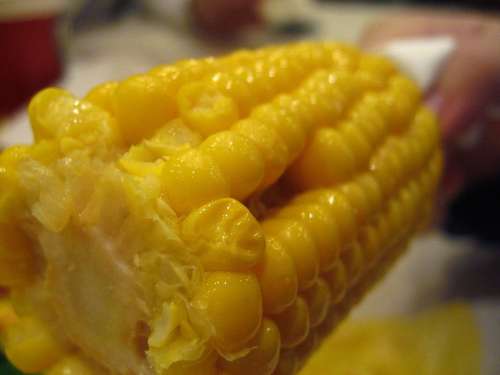 Corn Food Kfc Corn Yellow