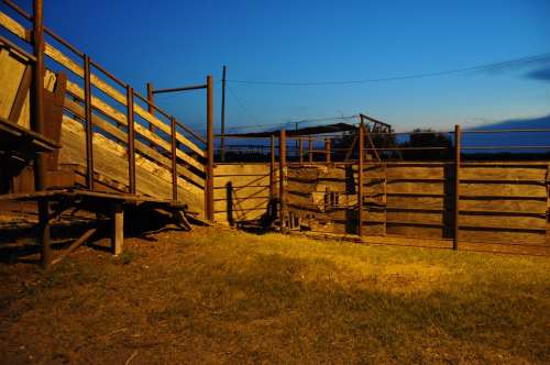 Corral Evening Farm Rural Gate Ranch Stall