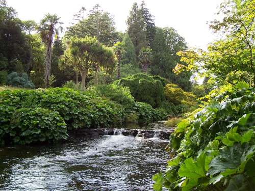 County Wicklow Ireland River Bank Plants Trees