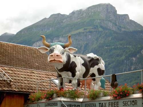 Cow Sculpture Switzerland Brienz