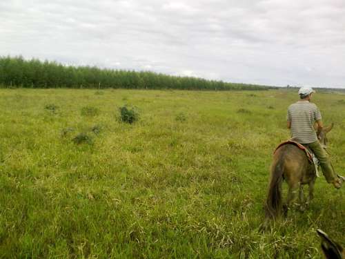 Cowboy Pasture Landscape