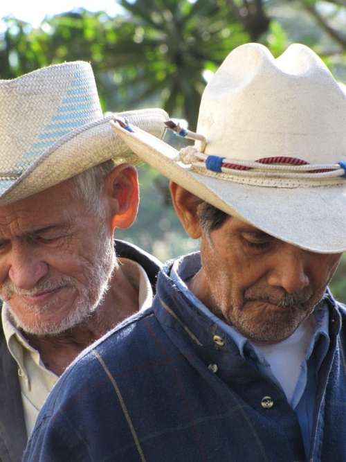 Cowboys Honduras Western Men People Old Elderly