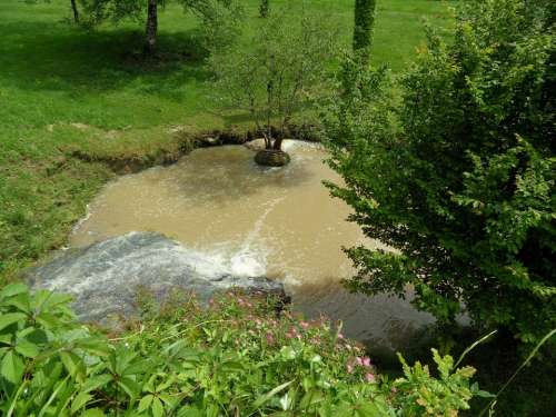 Creek Nature Basin Field