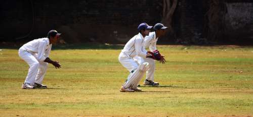 Cricket Wicket Keeping Practice Ball Game India