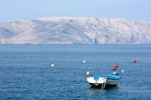 Croatia Krk Boat Sea Boe Seagull Costa Vista