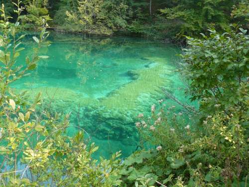 Croatia Nature Park Color