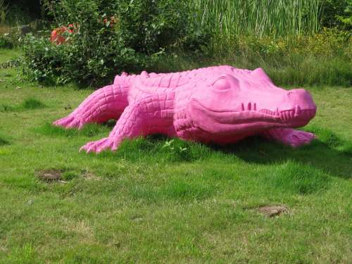 Crocodile Pink Dangerous Alligator