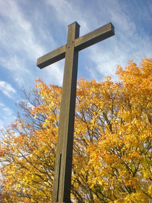 Cross Tree Autumn