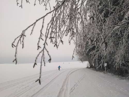 Cross Country Skiing Long Skiing Tracks Ski Trails