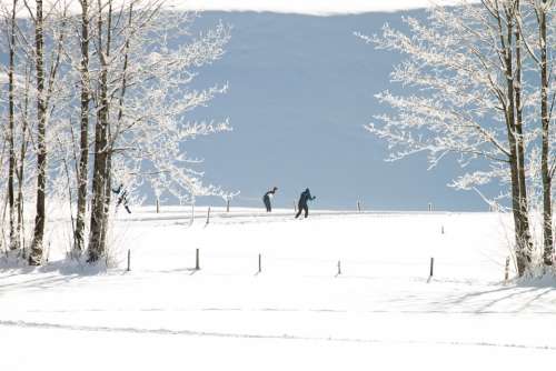 Cross Country Skiing Winter Trail