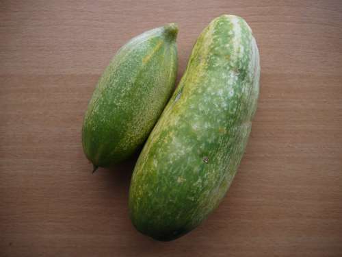 Cucumber Cucumbers Vegetables Food Eat Vitamins