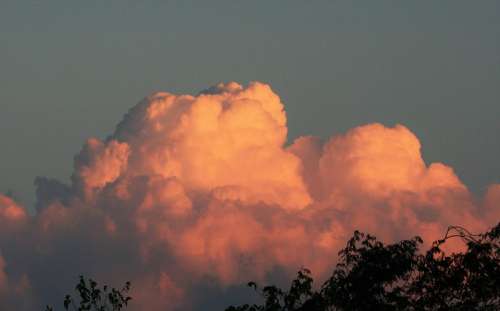 Cumulus Cloud Cloud Pink Large Majestic Cumulus