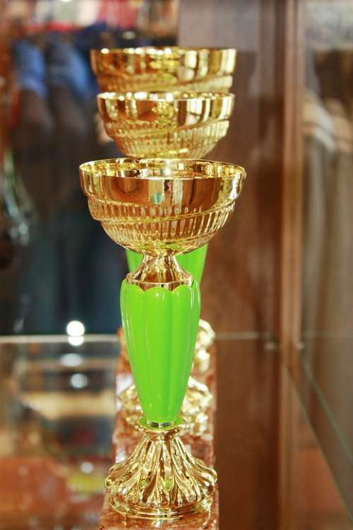 Cups Retro The Goblet Prize Gold The Rivalry