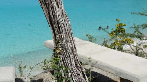 Curacao Stone Bench Tree Sea Nature Coast