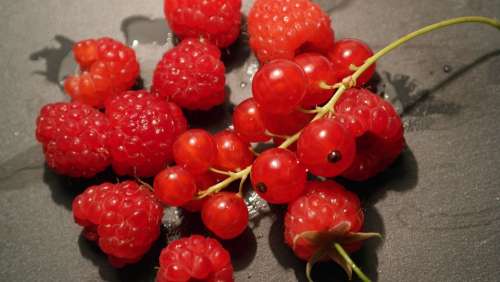 Currants Raspberries Berries Food Forest Fresh