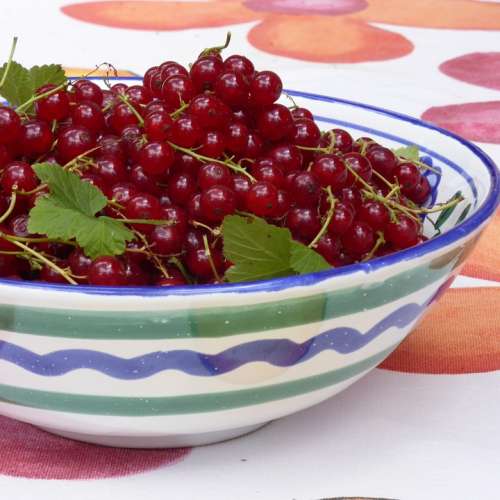 Currants Red Red Currant Berries Food Sweet