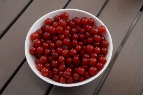 Currants Berries Bowl Fruit Red Red Currant