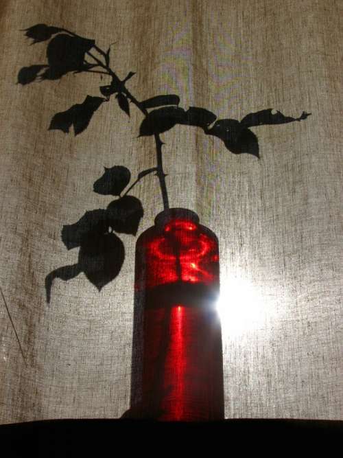 Curtain Vase Red Light Shadow Veiled Shroud