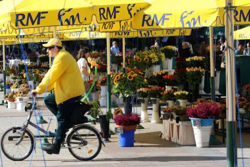 Cycler Flower Seller City Square Krakow Poland