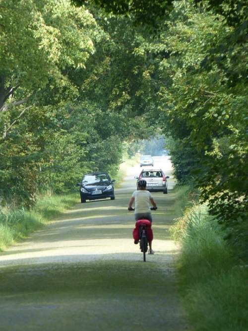 Cycling Avenue East Germany Cycle Cyclists Traffic