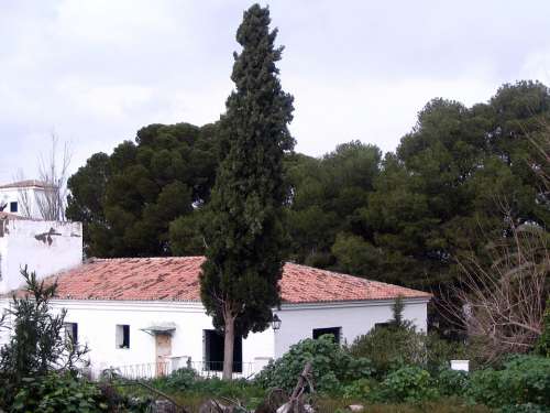 Cypress Landscape House Abandoned