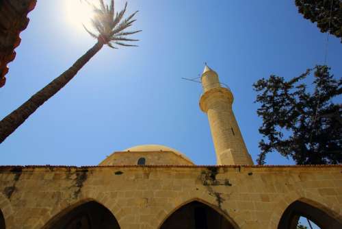 Cyprus Palm Mosque Sun Sky