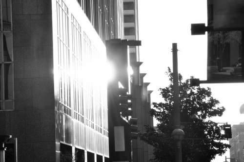 Dallas Downtown Sunlight Buildings Architecture