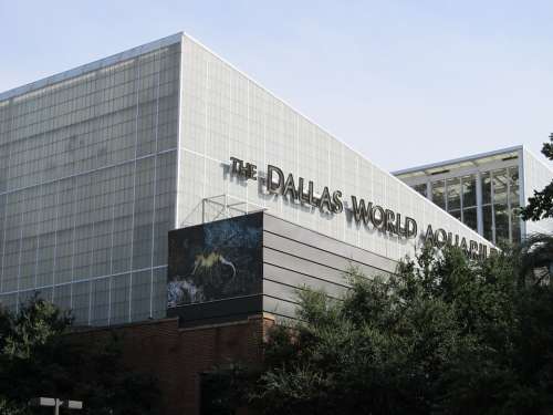 Dallas World Aquarium Zoo Architecture Urban
