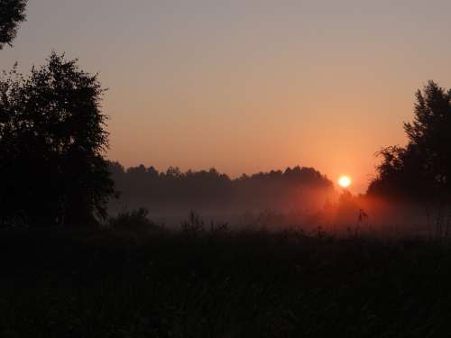 Dawn The Sun The Fog Meadow