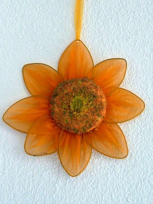 Decoration Flower Orange Hang Blossom Bloom