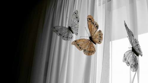 Decoration Butterfly Window Nature House White