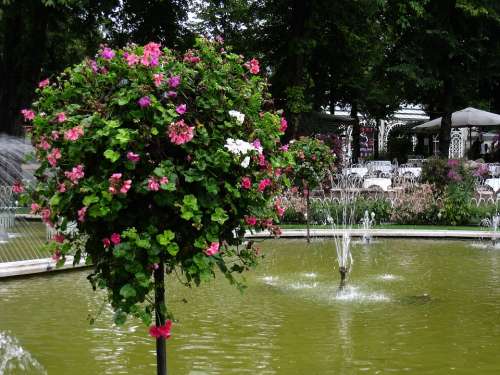 Denmark Tivoli Fountain Flowers Tree Summer Water