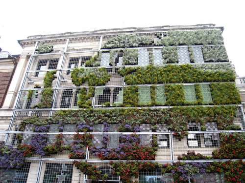 Denmark Copenhagen Building Plants Cladding Colors
