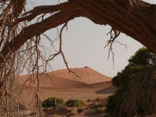 Desert Sahara Namibia Drought Soussosvlei Sand