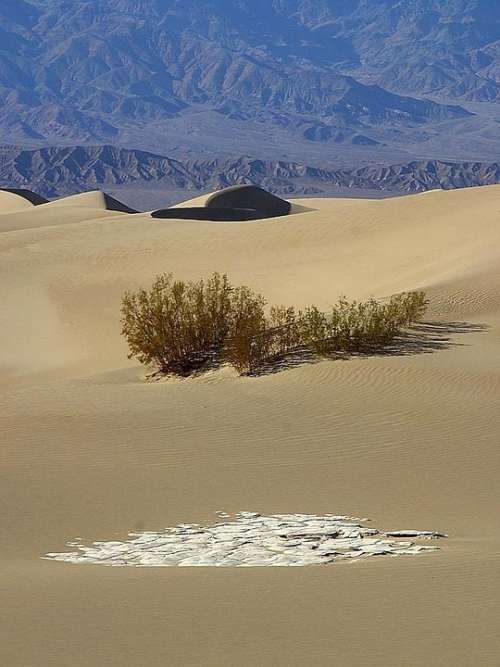 Desert Dunes Sand Landscapes Nature