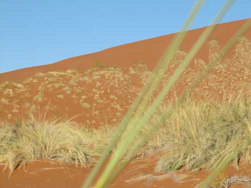 Desert Namib Namibia Landscape Sand Sossusvlei