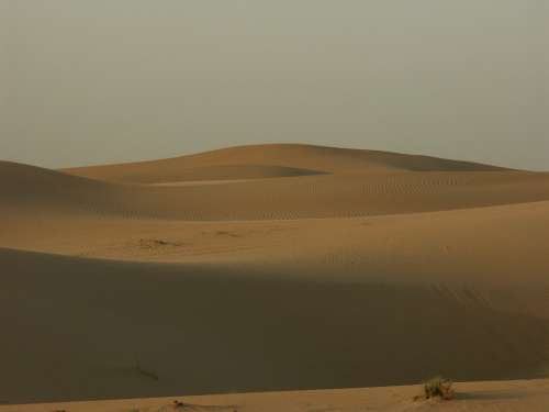 Desert Sand Dunes Dubai Uae Sahara