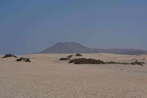 Desert Sand Nature Landscape Fuerteventura Holiday