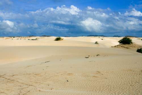 Desert Sand Boa Vista Cape Verde Cape Verde Island