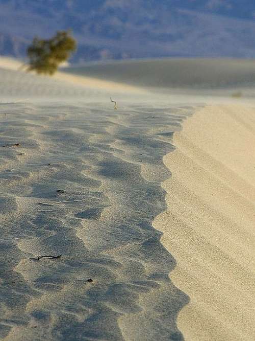 Deserts Dunes Sand Landscapes Nature