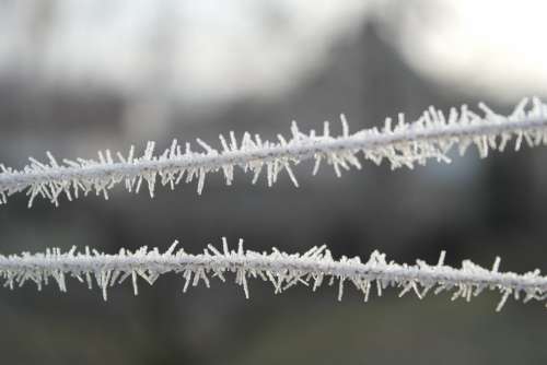 Detail Frost Winter