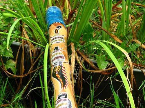 Didgeridoo Blowgun Musical Instrument Australia