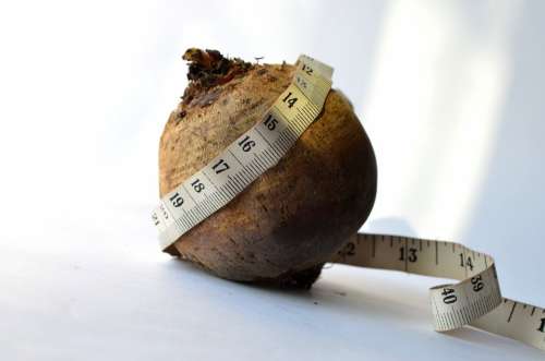 Diet Beetroot Measure Tape Vegetables Size Food